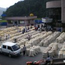 안동와룡농협 이미지