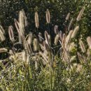 영통메이퓨어의원 이미지