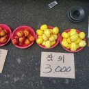 부산새벽시장 이미지