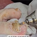 페디베네원주점