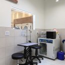 헬로멍멍 이미지