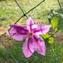 불갑모악보건진료소 | 불갑산(영광군)