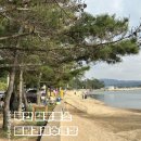 톱머리 리조트 | 무안 톱머리해수욕장 캠핑 명소