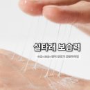 센델리 | 환절기 달팽이크림 루틴 | 피부장벽 회복과 보습을 한 번에