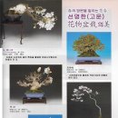 아전 이미지