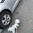 레인보우 동물병원 이미지