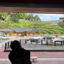 공주 당일치기여행 백제씽씽 (부자떡집/곰골식당/낙낙카페/공산성/공다방/메타세콰이어길)