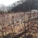 전원농장2 이미지