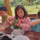 용성초교 병설유치원 이미지