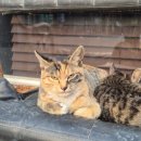 월드세차장 이미지