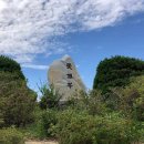 백양산임도 이미지