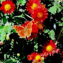 황산공원(황산B) 이미지