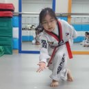 경희대성웅태권도