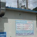 송계계곡 물놀이 필수 코스! 송계수산 초벌장어 포장 후기