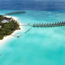 말리비치 이미지