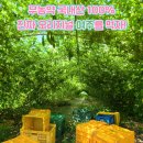 연세지아이내과의원 이미지