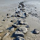 징검다리 이미지