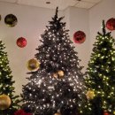 국가대표 울림태권도 이미지