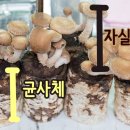 (주)글루칸 이미지