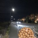 (주)태성토산 서귀포지점 | 무박 올레 100K - 下 편, 이제 그만 걸어도 된다