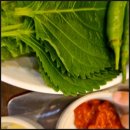 금되야지 이미지