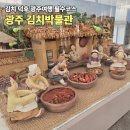 [한국 문화] 세계기록유산으로 만나는 한국의 이해 1 | 꿀잼 광주여행 김치 덕후 필수 코스!, 광주 김치박물관에서 만나는 김치의 A to Z