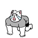 홍크짐 이미지