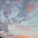 🌅🌰 이미지