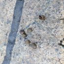 신호공원 이미지