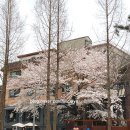 지에스25(GS25) 홍대공원점 이미지