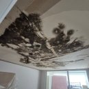 부영3차아파트 이미지