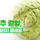 양배추 삶는법 쌈장도 만들어 양배추 쌈밥 끝내줘요 이미지