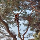 죽화초등학교 이미지