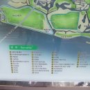 을숙도 풋살경기장 이미지