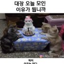 알자바뽑기방 | [강남 방탈출] 키이스케이프 스테이션 - 머니머니부동산 후기 : 저도 현실 건물주 시켜주세요