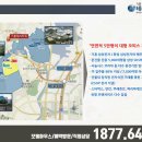 영통로, 효행로 Daum카페