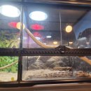 작은 동물원 이미지