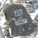 제 330차 한라산 산행기 - 조아산0212~0213(토,일) 이미지