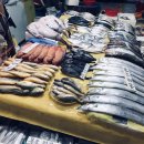 명보수산 이미지