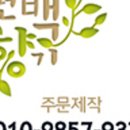 편백향기 이미지