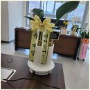 세무회계논의 이미지