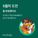 태권돌이 이미지