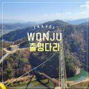 간현청소년수련원 | 원주 소금산 출렁다리 10월 방문기가을바람 따라 즐긴 원주의 대표 명소
