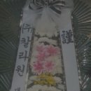 (주)칼라원 Daum카페