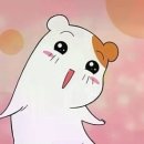 박가한우숯불구이 이미지