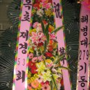 오경숙 이미지