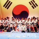 한국체대백궁태권도