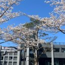 포도원흑돼지 이미지