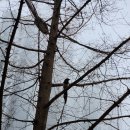 수원예치과의원 이미지