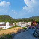 스노우밸리펜션 이미지